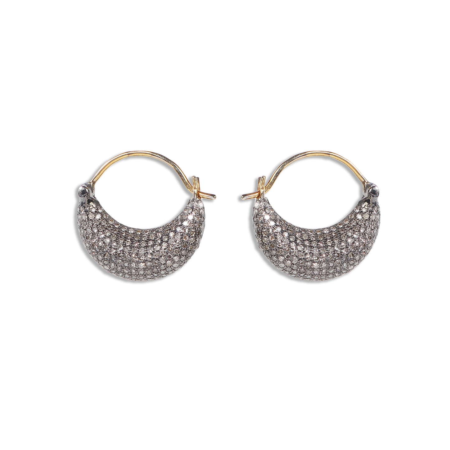 Ramneek Earrings