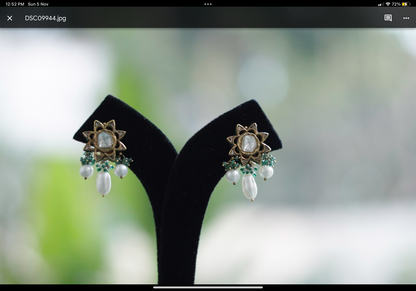 Aditi Earrings